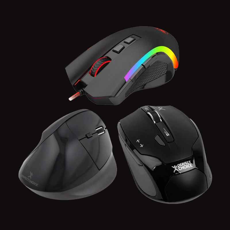 Mouse