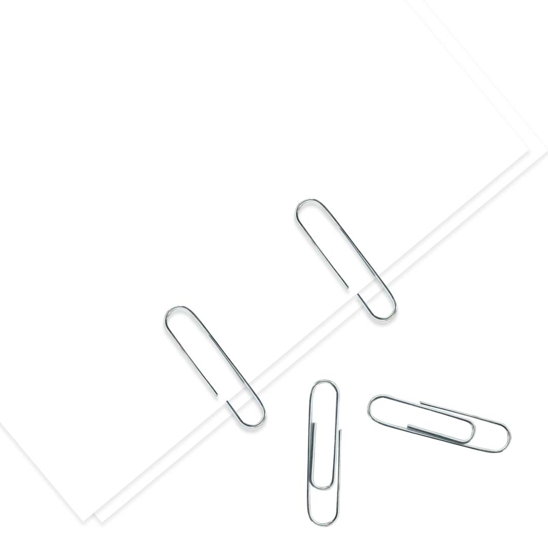 Clip standard Wilson caja con 100 pzas.