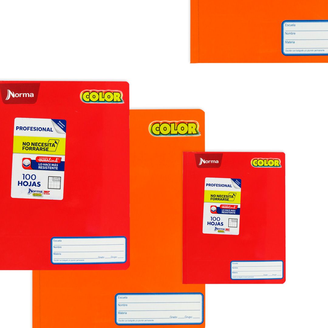 CUADERNO PROFESIONAL NORMA COLOR 360 COSIDO 100 HOJAS