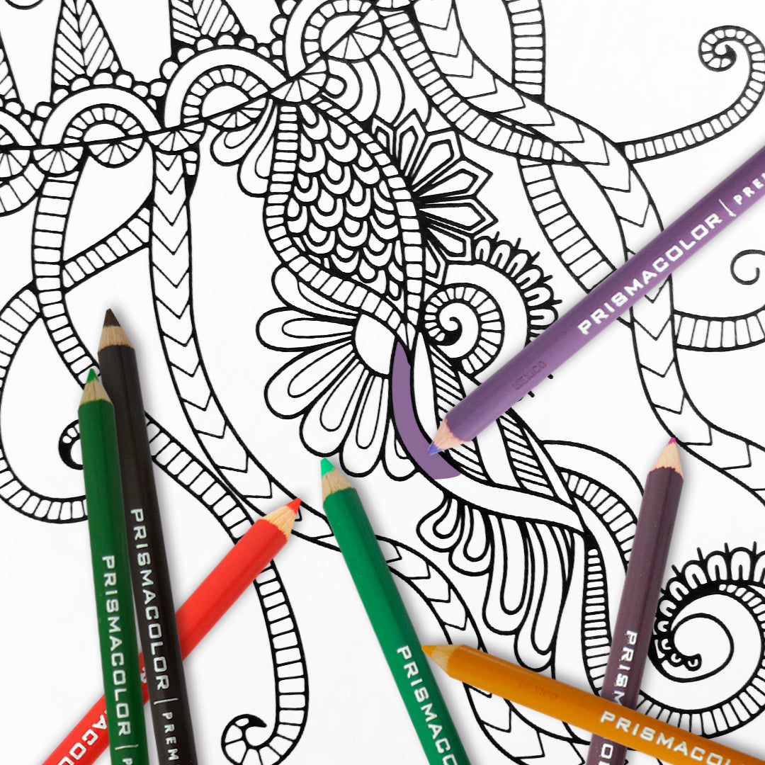 Lápices de colores caja Prismacolor premier