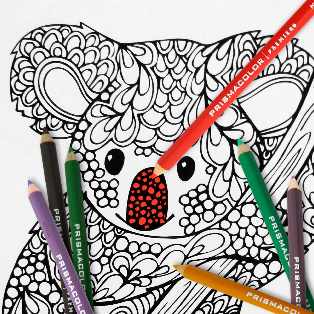 Lápices de colores caja Prismacolor premier