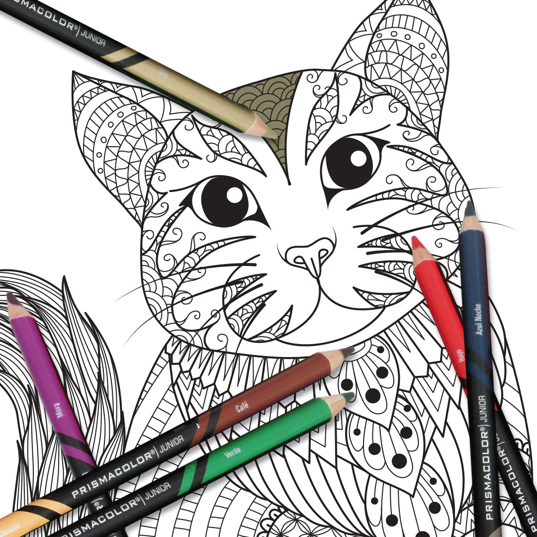 Lápices de colores Prismacolor junior doble punta con 12 piezas