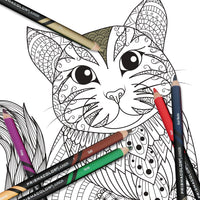 Lápices de colores Prismacolor junior doble punta con 12 piezas