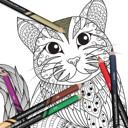 Lápices de colores Prismacolor junior doble punta con 12 piezas