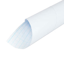 Mica pliego autoadherible 66x50 5 puntos.
