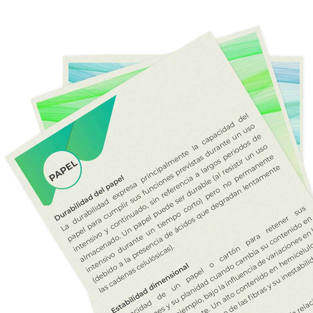 (珍しい本) バンクシー- Bäst Revolucion de Papel Papel Scribe Econovo tipo Revolución tamaño carta con 500 hojas