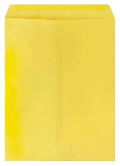 SOBRE MANILA SOLAPA ENGOMADA 30.5 X 39.5 MINISTRO CON 50 PZS KYMA